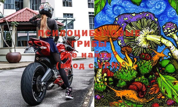 каннабис Алзамай