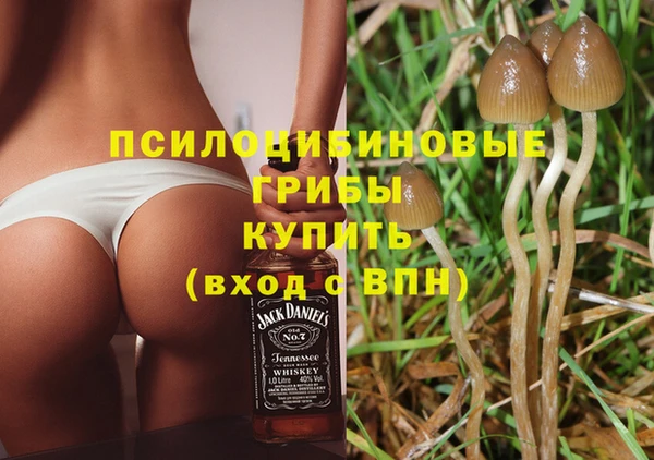 a pvp Алексеевка