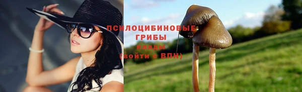 прущая мука Сафоново