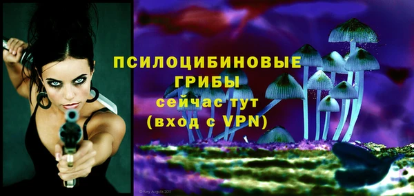 a pvp Алексеевка
