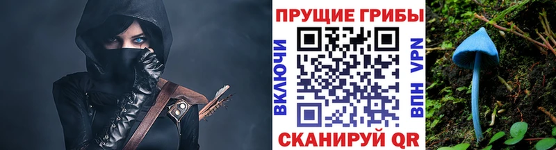 Купить где  Самара  Галлюциногенные грибы Psilocybine cubensis 