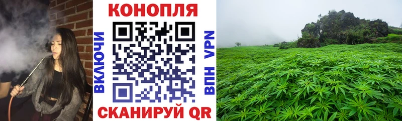 Купить закладки  Самара  Шишки марихуана White Widow 